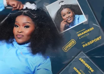 DOWNLOAD Shandesh – Passport Ft. Mvzzle mp3