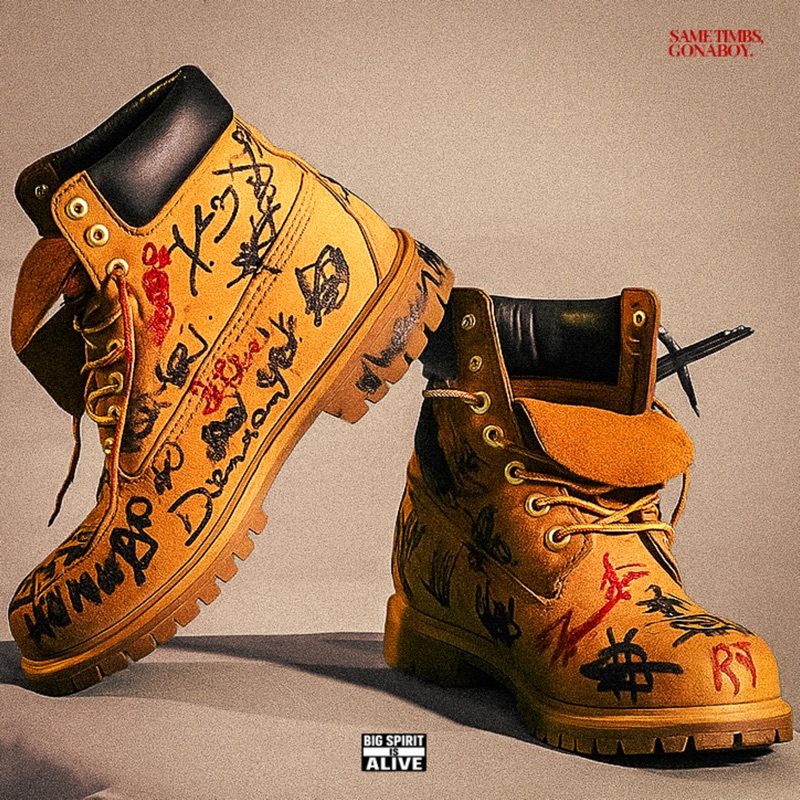 Gonaboy – Same Timbs