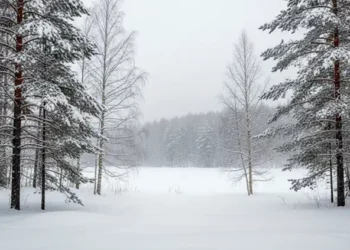 A Light in the Cold (Acoustic) mp3