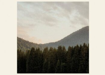 DOWNLOAD Amistat – the night we met mp3