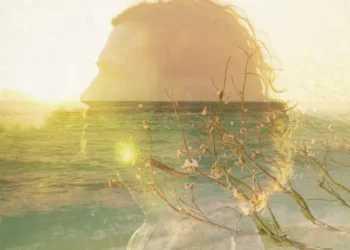 DOWNLOAD Julien Doré - Chou Wasabi (Radio Edit) Ft. Micky Green mp3