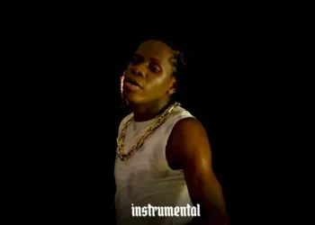 DOWNLOAD Dogo Rema – Hapo Vp mp3