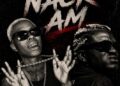 DOWNLOAD Candy Bleakz – Nack Am ft. Portable mp3